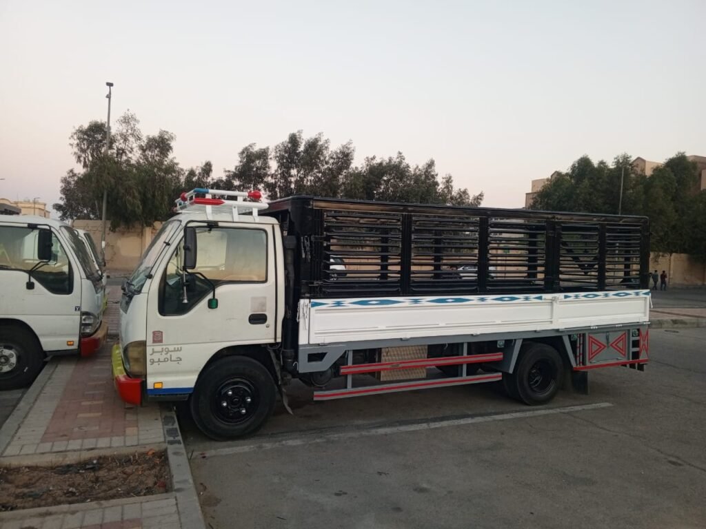 Expatriates House Shifting